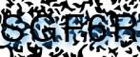 grafischer Sicherheitscode
